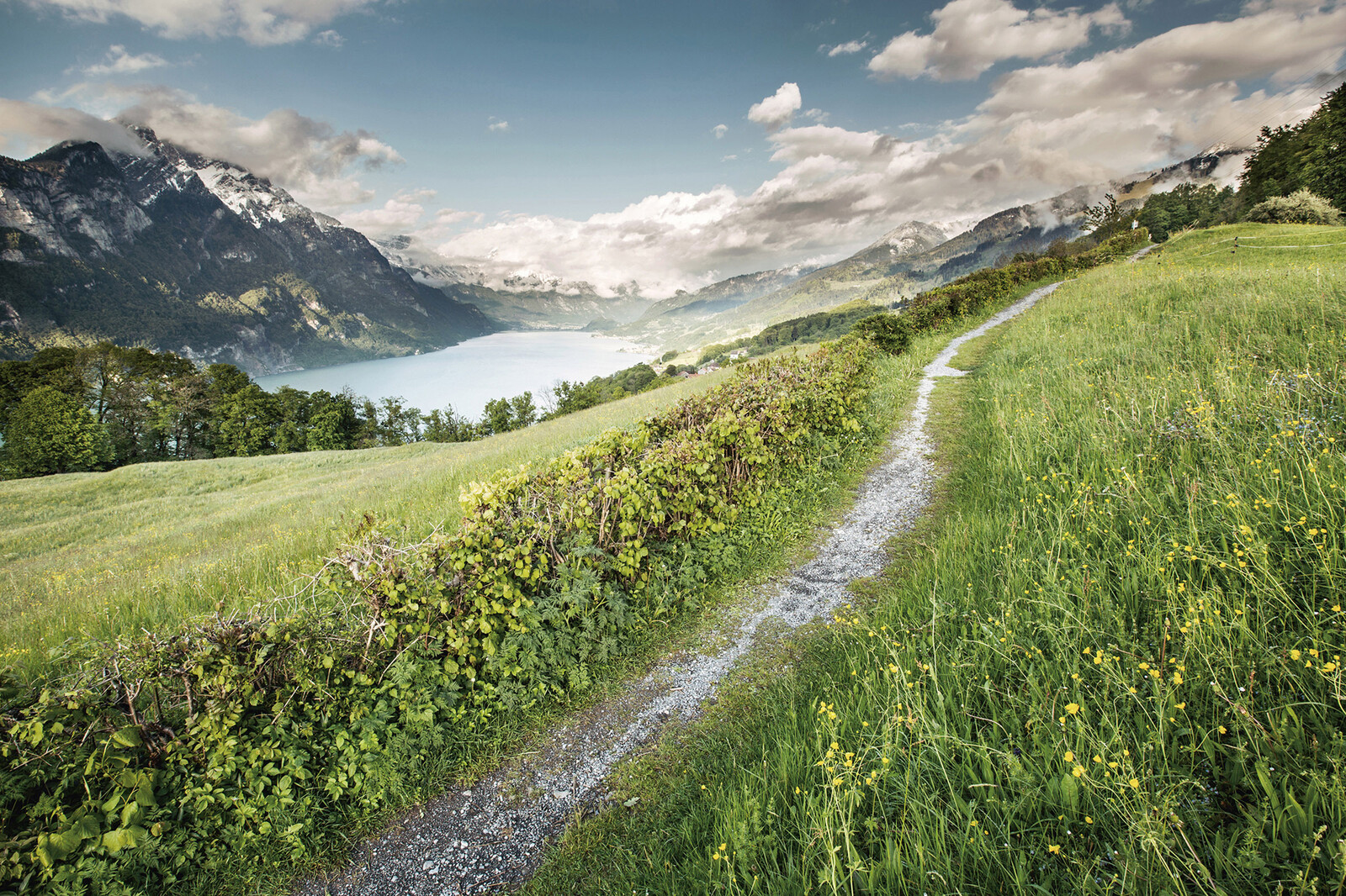 Hiking trail above Lake Walen.